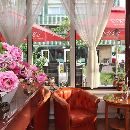 Casa Jasmine Hotel Brasov Ngoại thất bức ảnh